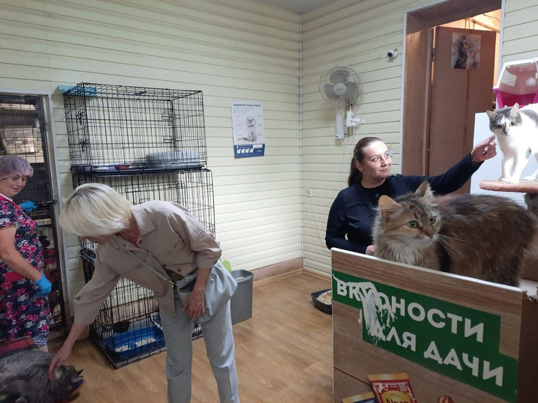Национальный проект «Демография».