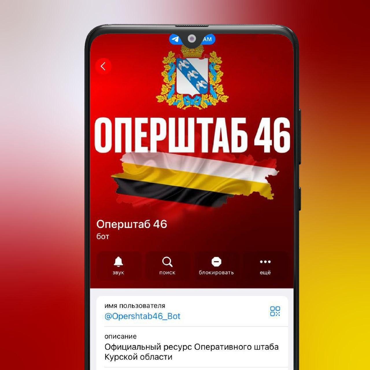 📱 В Курской области запущен специальный чат-бот для вынужденных переселенцев.